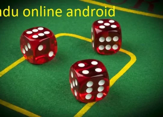 Aplikasi Dadu Online Android